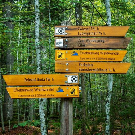 Grosser Arber, Wandern & Sauna, Gemuetliches Apartment Im Nationalpark Bayerischen Wald Линдберг Екстериор снимка