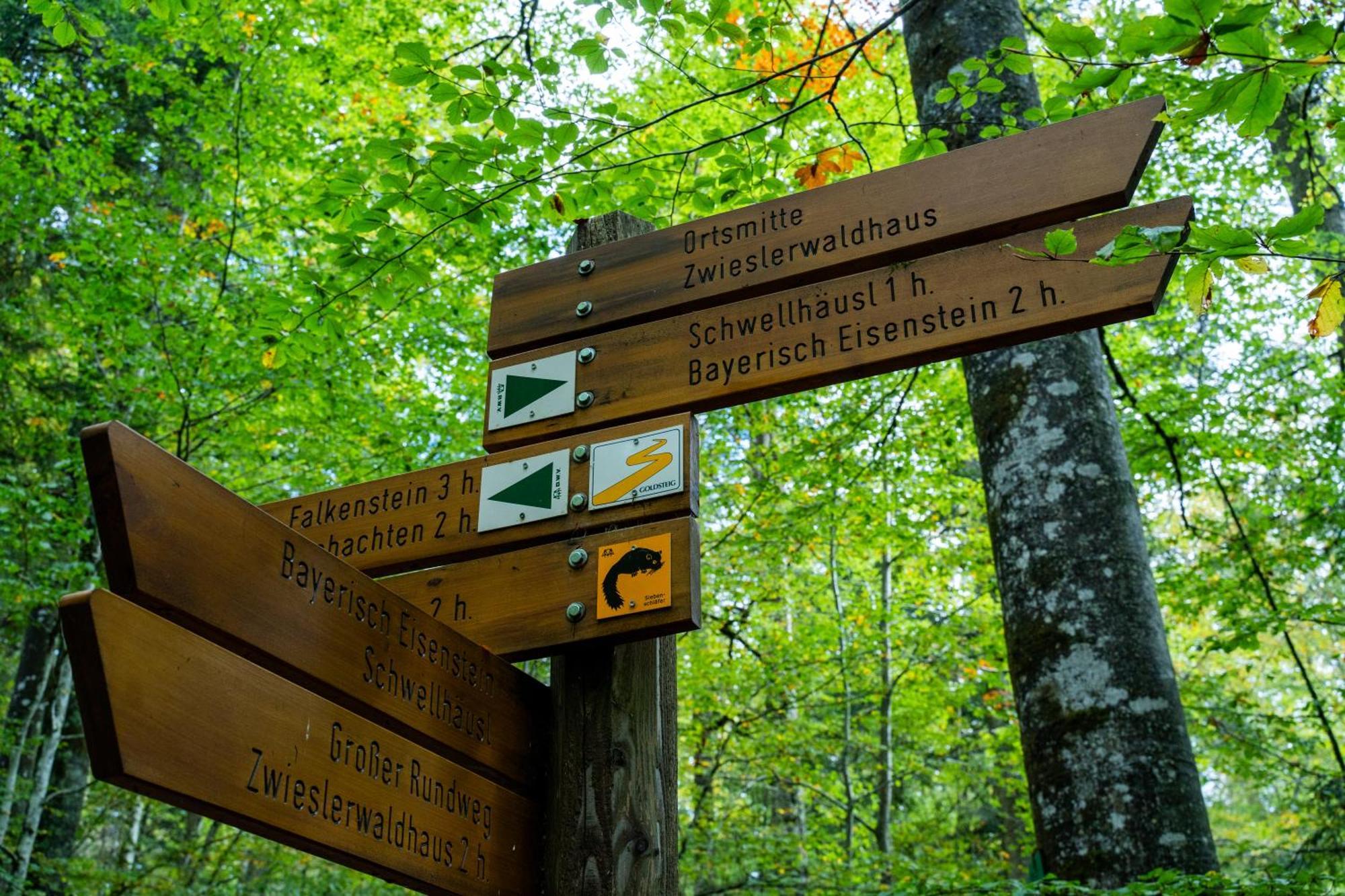 Grosser Arber, Wandern & Sauna, Gemuetliches Apartment Im Nationalpark Bayerischen Wald Линдберг Екстериор снимка